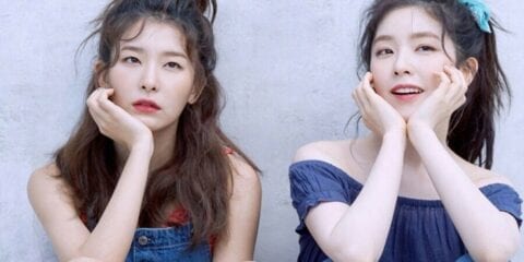 Red Velvet - IRENE & SEULGI Monster Cover